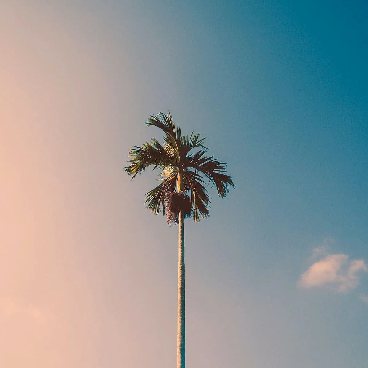 paula villena kirchhartz v C8kVXgXqY unsplash